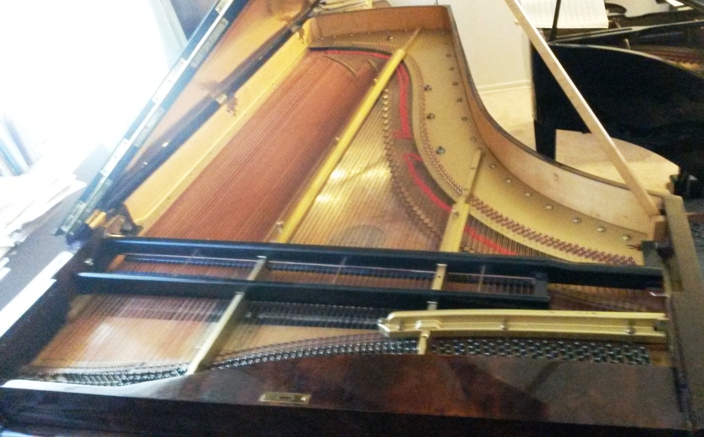 Bosendorfer 12228 compr belly from front
