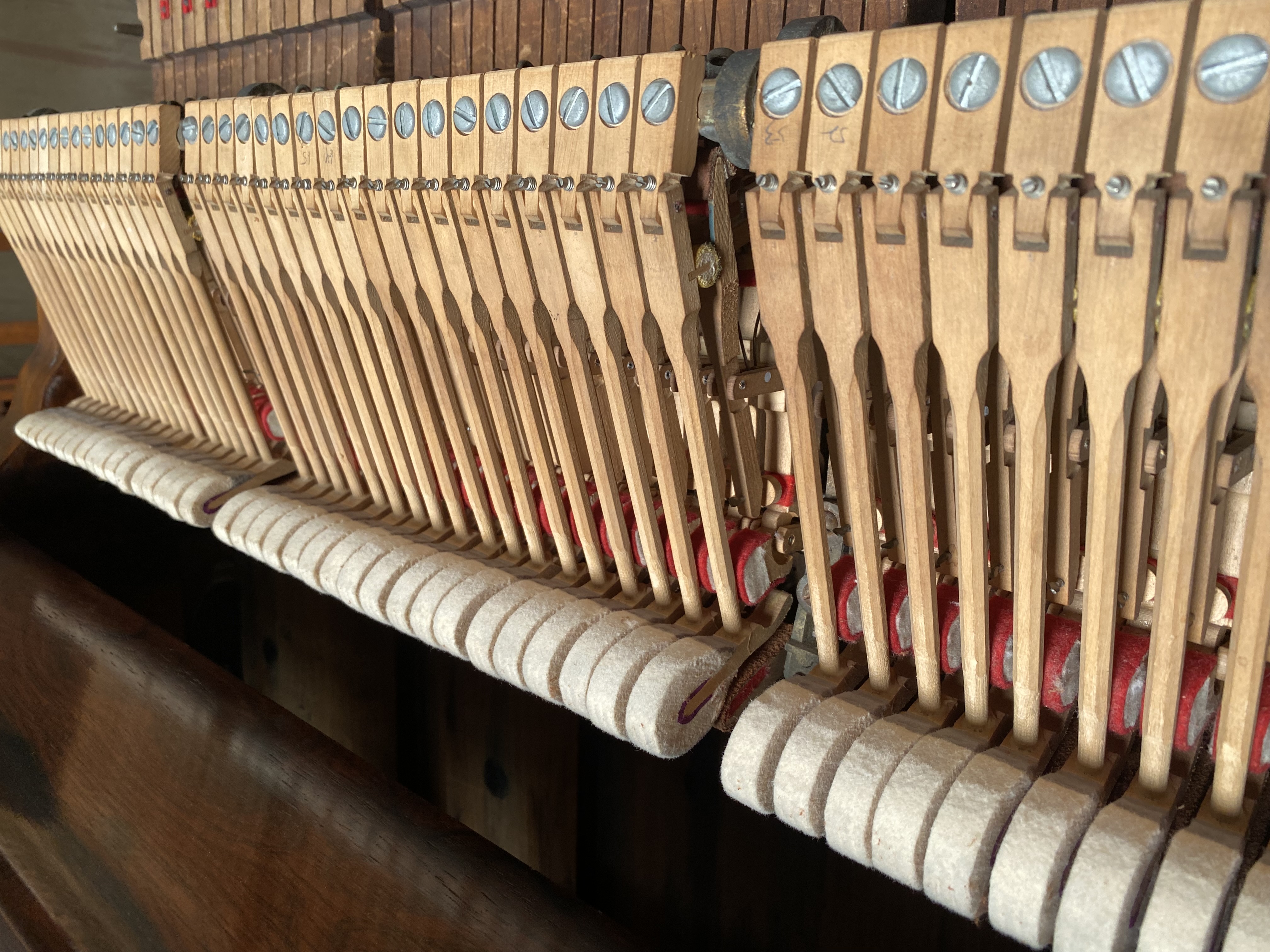 Steinway Centennial 37867 5