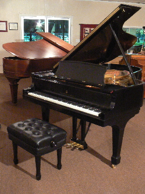 P1030739